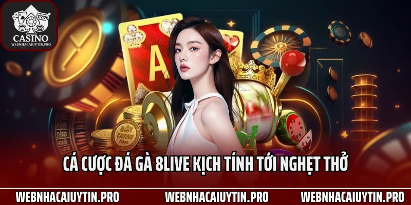 Cá cược đá gà 8Live kịch tính tới nghẹt thở