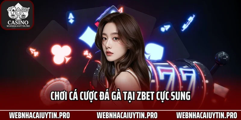 Chơi cá cược đá gà tại zbet cực sung