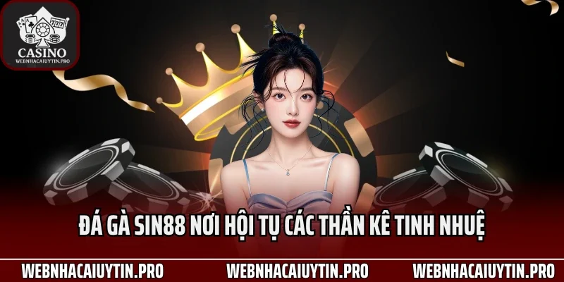 Đá gà Sin88 nơi hội tụ các thần kê tinh nhuệ