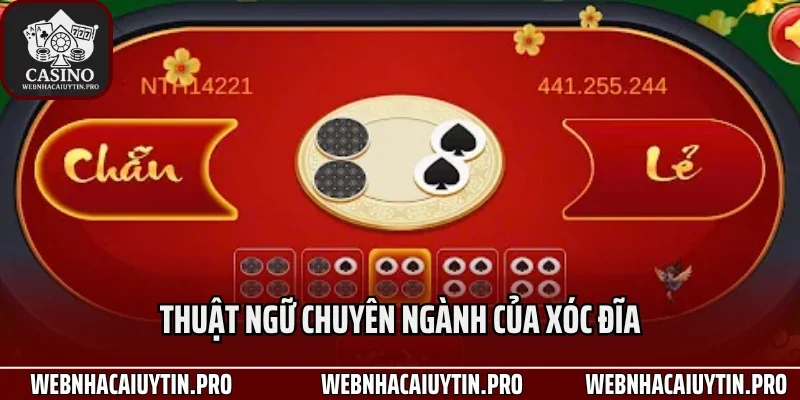 Thuật ngữ chuyên ngành của xóc đĩa