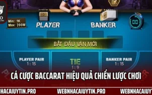 Cá Cược Baccarat