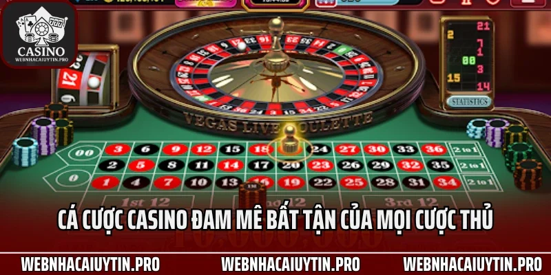 Cá cược casino đam mê bất tận của mọi cược thủ