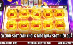 Cá Cược Casino