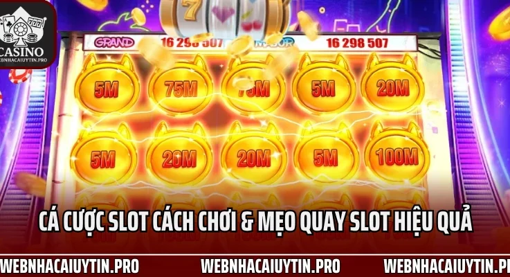 Cá Cược Casino Thông Thái Hướng Dẫn Từ A-Z Cho Người Mới 24/7