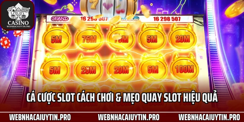 Cá Cược Slot Cách Chơi Và Mẹo Quay Hiệu Quả Dành Cho Người Mới 2025