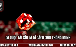 Cá Cược Tài Xỉu