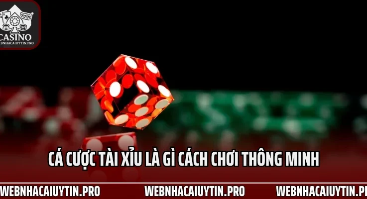 Cá Cược Tài Xỉu Là Gì Chiến Thắng Ổn Định 24/7