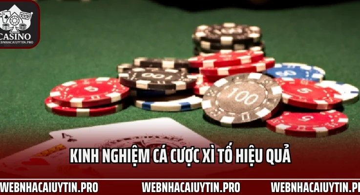 Kinh Nghiệm Cá Cược Xì Tố Từ Người Chơi Số 1