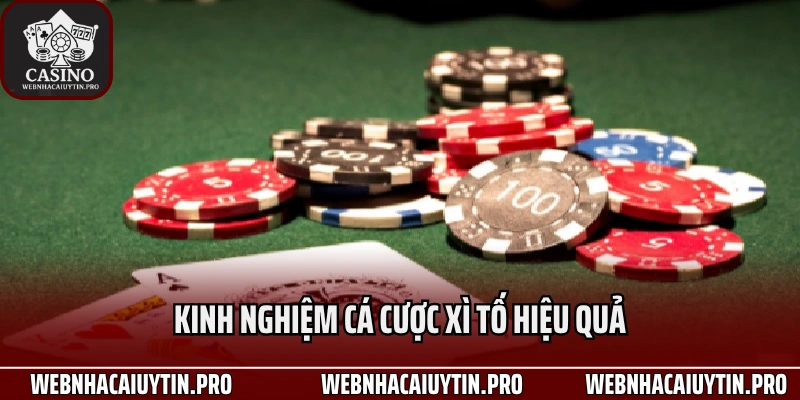 Kinh Nghiệm Cá Cược Xì Tố Từ Người Chơi Số 1