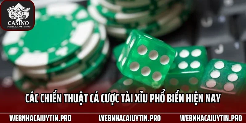 Các chiến thuật cá cược tài xỉu phổ biến hiện nay