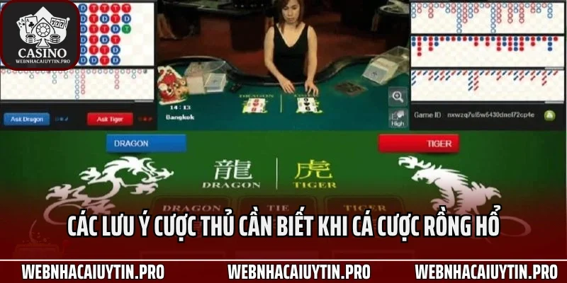 Các lưu ý cược thủ cần biết khi cá cược rồng hổ