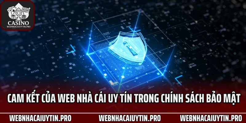 Cam kết của Web nhà cái uy tín trong chính sách bảo mật