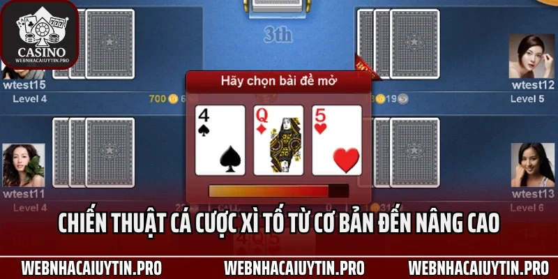 Chiến thuật cá cược xì tố từ cơ bản đến nâng cao