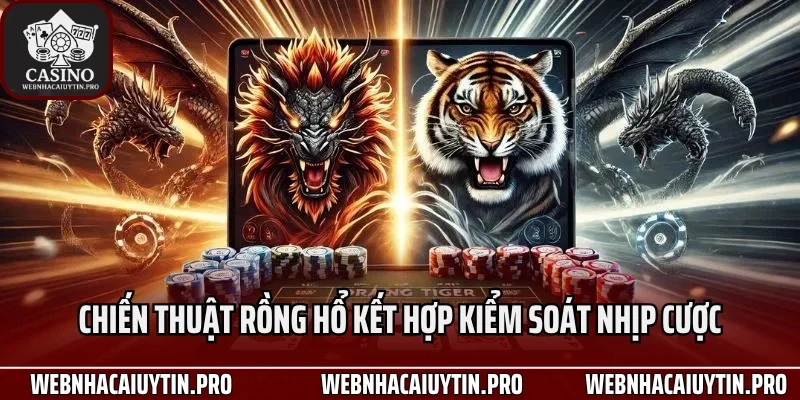 Chiến thuật Rồng Hổ kết hợp kiểm soát nhịp cược
