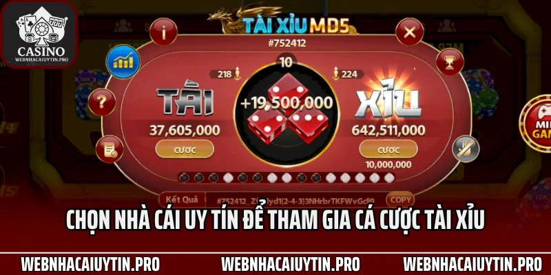 Chọn nhà cái uy tín để tham gia cá cược tài xỉu