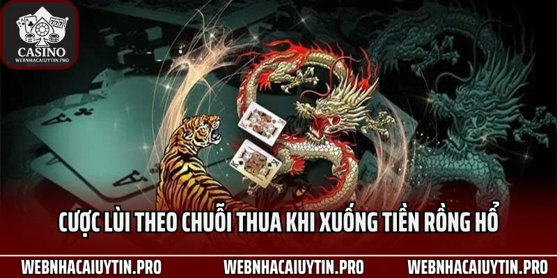 Cược lùi theo chuỗi thua khi xuống tiền rồng hổ