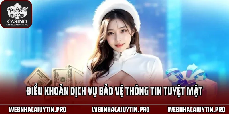 Điều khoản dịch vụ bảo vệ thông tin tuyệt mật