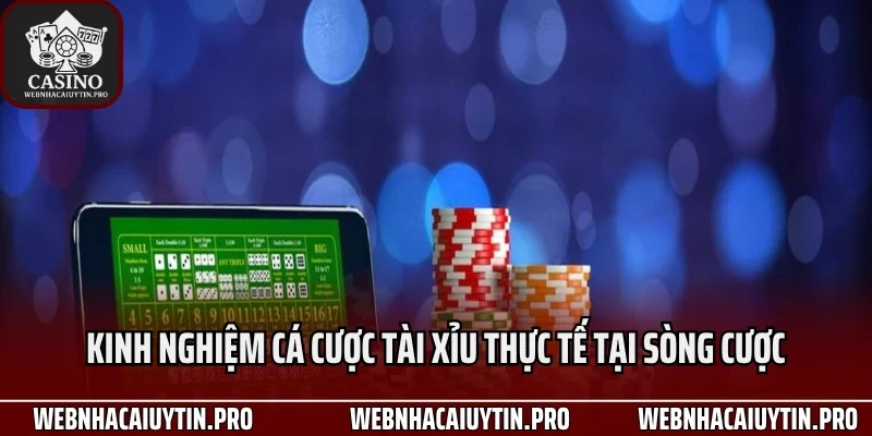Kinh nghiệm cá cược tài xỉu thực tế tại sòng cược