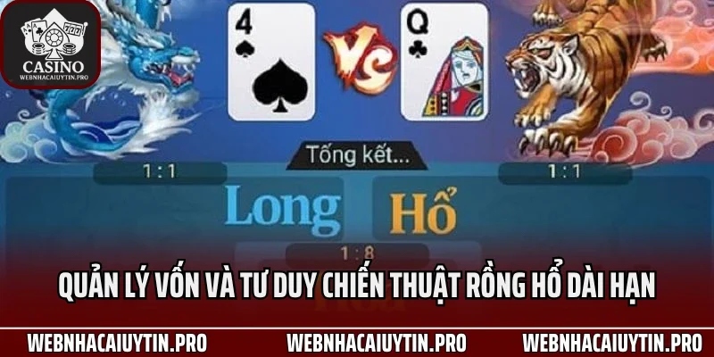 Quản lý vốn và tư duy chiến thuật Rồng Hổ dài hạn