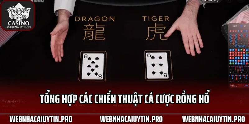 Tổng hợp các chiến thuật cá cược rồng hổ giúp tối ưu hóa vốn
