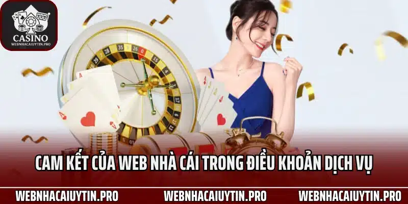 Cam kết của Web nhà cái trong điều khoản dịch vụ