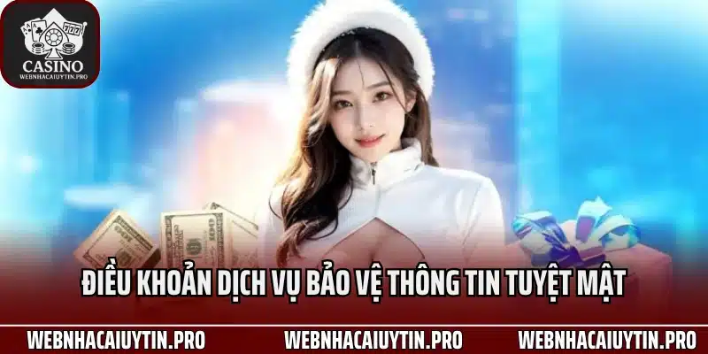 Điều khoản dịch vụ bảo vệ thông tin tuyệt mật
