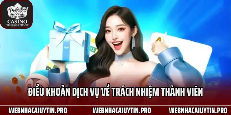 Điều khoản dịch vụ về trách nhiệm thành viên